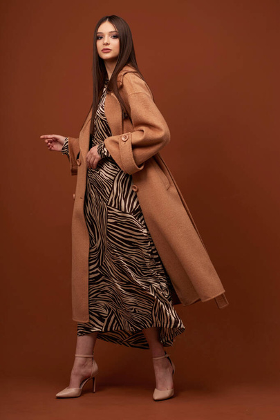 Young elegant woman in trendy brown coat.  Zebra print dress, isolated studio shot - Foto, Imagem