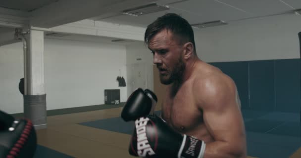 Mixed Martial Arts Fighter Training With Pads - Filmmaterial, Video