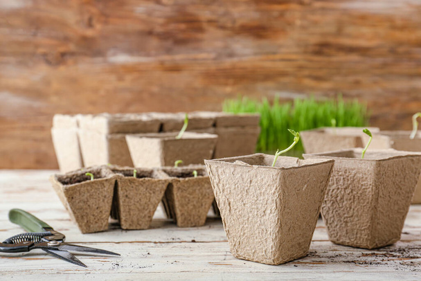 Plants seedlings in peat pots on wooden table - Fotó, kép