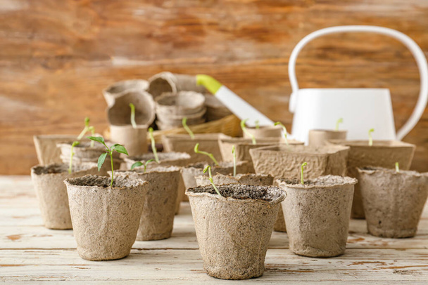 Plants seedlings in peat pots on wooden table - Фото, зображення