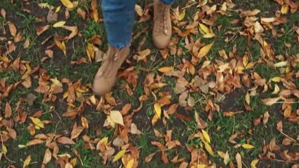 μερική άποψη της γυναίκας που περπατά στα φύλλα του φθινοπώρου στο πάρκο - Πλάνα, βίντεο