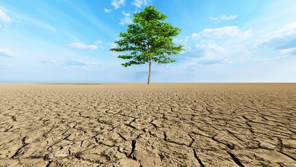 Концепция или концептуальный пустынный ландшафт с зеленым деревом в качестве метафоры глобального потепления и изменения климата. Предупреждение о необходимости защиты окружающей среды и будущей трехмерной иллюстрации - Фото, изображение