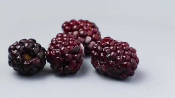 Frozen blackberry on the plate. Frost is growing on the fresh blackberry. 4K timelapse. - Footage, Video