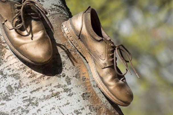 Vintage pánské boty. Výtvarný projekt. Reklamní obuv. - Fotografie, Obrázek