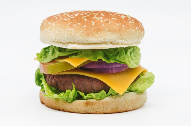Burger 2 - Photo, image