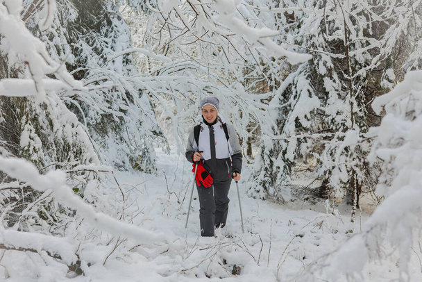 Młoda kobieta wychodzi na zaśnieżoną górę. Wstaje z pomocą kijków trekkingowych. W tle las pokryty śniegiem. Góra Pikui. - Zdjęcie, obraz