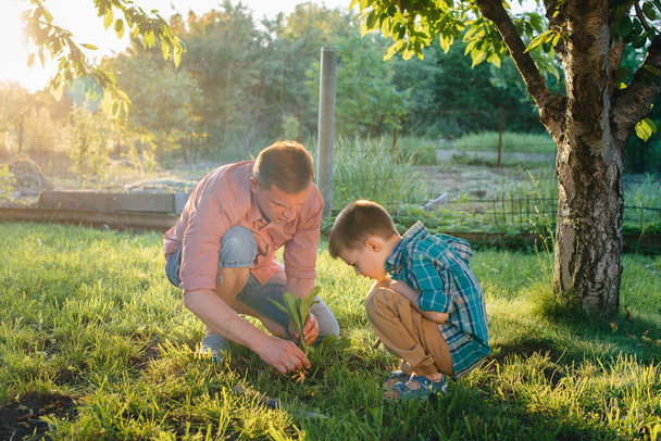 Little brother and sister are planting seedlings with their father in a beautiful spring garden at sunset. New life. Save the environment. Careful attitude to the surrounding world and nature - Fotoğraf, Görsel