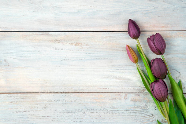 Festive background with purple tulips on a light wooden background. - Photo, Image