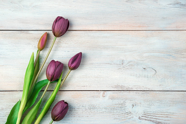 March 8, festive background with tulips on a light wooden background. - Zdjęcie, obraz