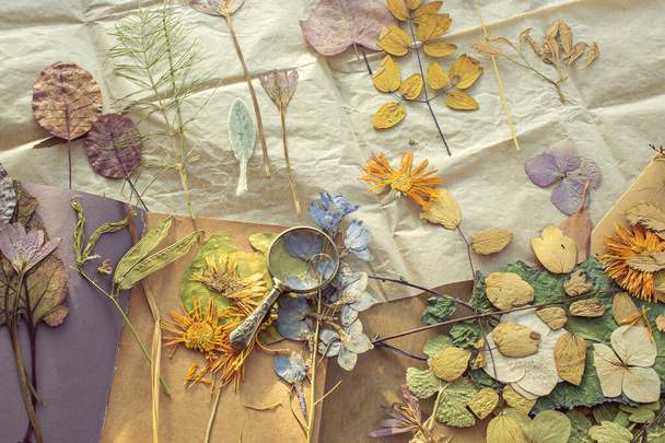 Dry flowers and leaves on craft paper.Workshop to making decoration with dried flowers. - Valokuva, kuva