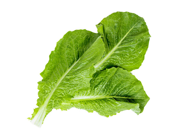 Vue de dessus des feuilles fraîches de laitue romaine verte crue pour salade isolée sur fond blanc. - Photo, image