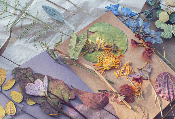 Dry flowers and leaves on craft paper.Workshop to making decoration with dried flowers. - Foto, Bild