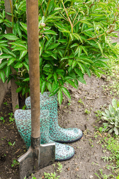 Εργαλεία κηπουρικής. Μπότες από φτυάρι και καουτσούκ για να εργαστούν στον κήπο - Φωτογραφία, εικόνα