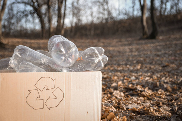Fiatal önkéntesek tisztítása területen fa, a műanyag palack a nyilvános parkban. Emberek és ökológia Műanyag hulladékok gyűjtése a természetben újrahasznosításra. - Fotó, kép