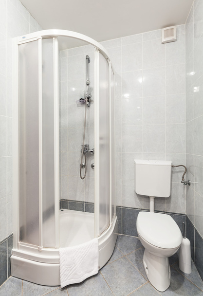 modern banyo duş ve tuvalet koltuk - Fotoğraf, Görsel