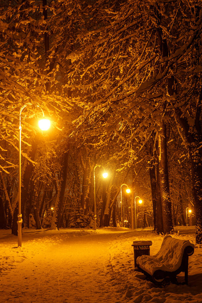 Тропинка в зимнем городском парке. Ряд фонарей. - Фото, изображение