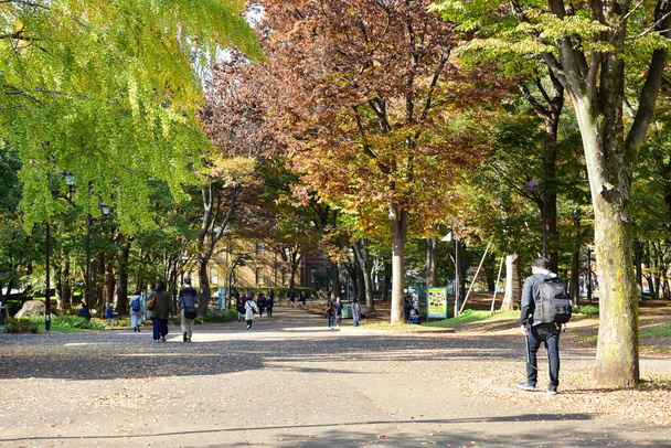 Tokyo, Japon 27 novembre 2019 Flou non identifié beaucoup de gens se promènent au parc Ueno et regardent l'arbre d'automne dans le jardin, la forêt d'automne par une journée ensoleillée. - Photo, image