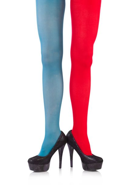Colourful leggings - Photo, Image