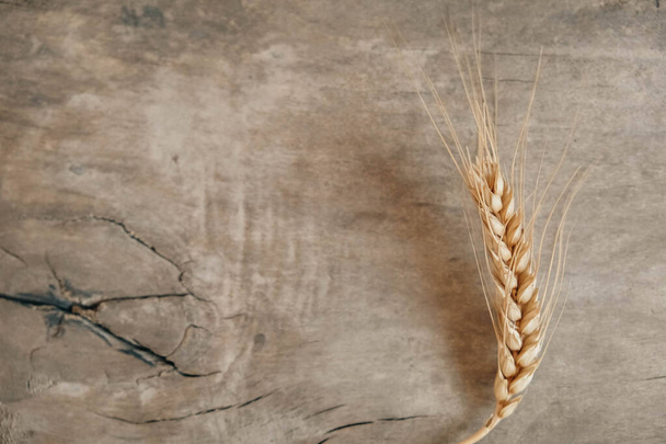 Wheat ears on wooden background. op view. Copy, empty space for text. - Φωτογραφία, εικόνα