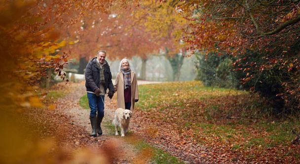Loving Senior Couple Walking With Pet Golden Retriever Dog Along Autumn Woodland Path Through Trees - Photo, Image