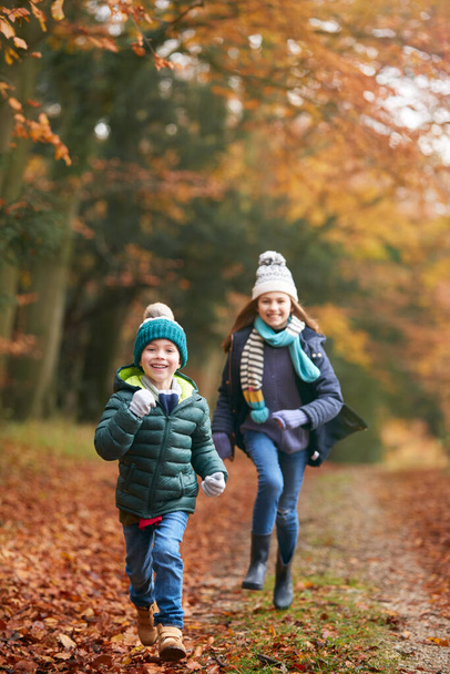 Portré két mosolygó gyerekről, akik jól érzik magukat az őszi erdei ösvényen. - Fotó, kép