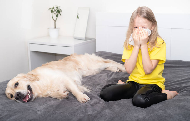 Une petite fille portant un T-shirt jaune éternue dans une serviette près du chien. Allergie aux animaux. Couleurs tendances de 2021 gris et jaune. - Photo, image