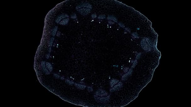 bewegende cel element op donkere achtergrond - Video