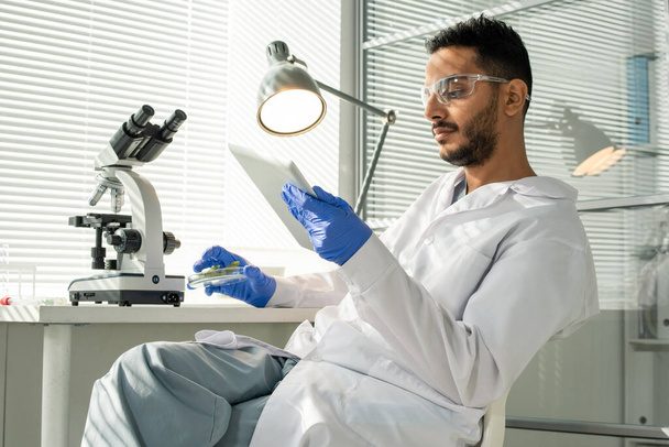 Young male laboratory worker in gloves, eyeglasses and whitecoat looking through online data while studying sample of lab-grown soy sprout - Valokuva, kuva