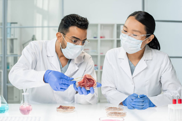 Zwei junge Forscher oder Kliniker in weißen Kitteln, Schutzmasken und Handschuhen untersuchen die Merkmale einer Probe von rohem Pflanzenfleisch - Foto, Bild