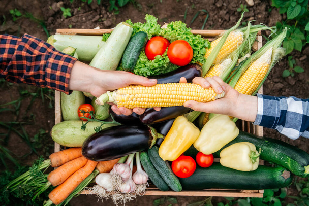 Männer und Frauen halten im Hintergrund eine Holzkiste voller Gemüse aus dem Bio-Garten. Die Ernte hausgemachter Produkte. Ansicht von oben. - Foto, Bild