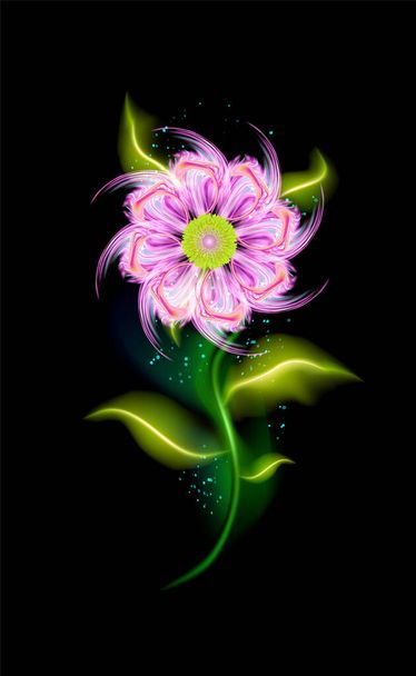 Pink flower colorful glowing. Modern ornamental floral element over black. Beautiful trendy illuminated ornaments with decorative luxury glow for your design in vector illustration. eps 10 - Vektor, obrázek