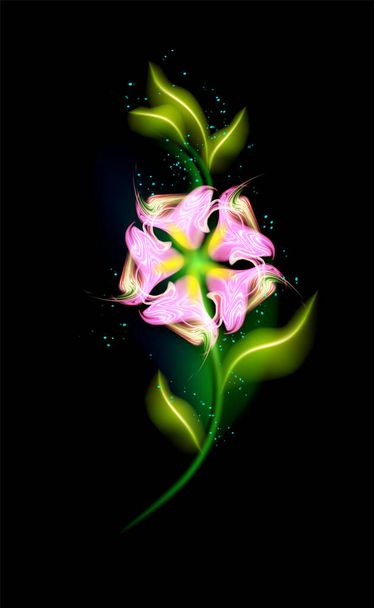 Colorful glowing pink flower. Modern ornamental floral garden in black background. Beautiful trendy illuminated ornaments with decorative luxury glow for your design in vector illustration. eps 10 - Vektor, Bild