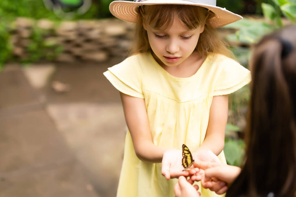 Duas irmãzinhas a segurar uma borboleta nas mãos. Crianças explorando a natureza. Lazer familiar com crianças no verão. - Foto, Imagem