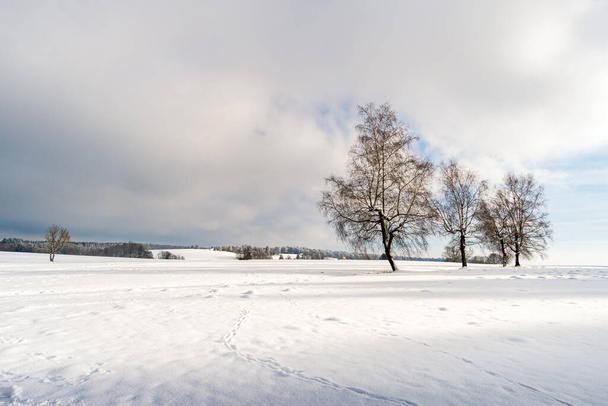 Fantastico paesaggio invernale innevato vicino a Heiligenberg sul Lago di Costanza, per sciare, andare in slitta ed escursioni - Foto, immagini