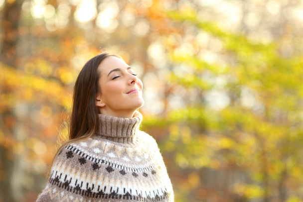 Donna rilassata che respira aria fresca in piedi in un parco in inverno  - Foto, immagini
