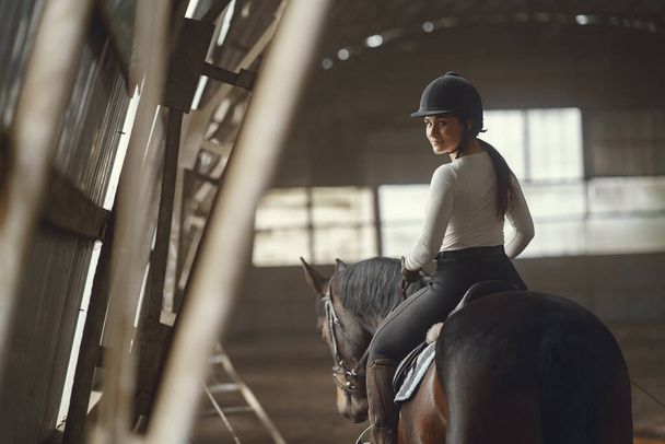 Elegant girl in a farm wiith a horse - Photo, Image