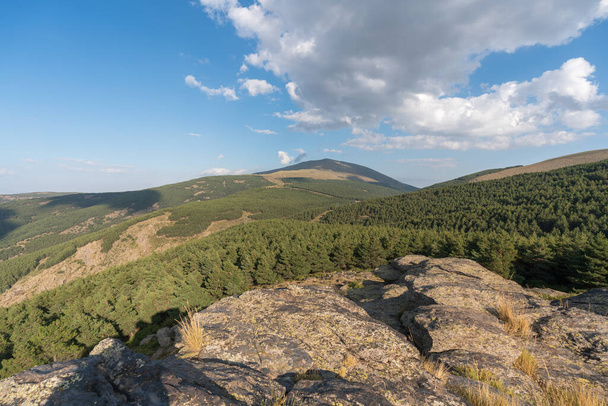Сосний ліс у Сьєрра-Неваді, на півдні Іспанії, є кущі та гірські утворення, небо має хмару. - Фото, зображення