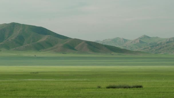 Равнина в безлесных широких долинах. Травянистые луговые луга луговые пастбища степи плато табленда низменные горные местности горные местности география склона холма хребта обширный ландшафт большой длинной природы Монголия большой большой большой обширный пейзаж вид на природу фильм. - Кадры, видео