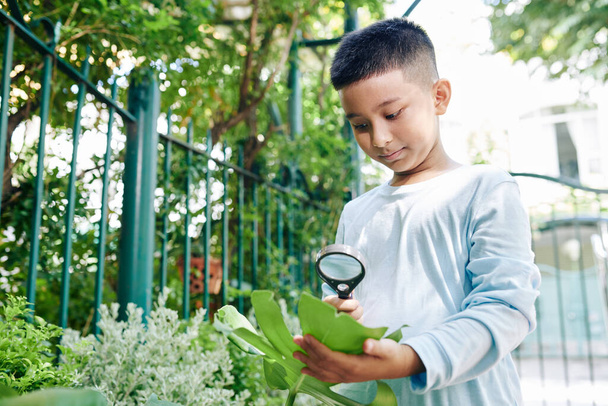 Curious Vietnamese boy looking at leaf through magnifying glass in park - Photo, Image