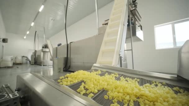 Η γραμμή παραγωγής μετακινεί σνακ πατάτας. Γραμμή παραγωγής του εργοστασίου ζυμαρικών, παραγωγή ζυμαρικών - Πλάνα, βίντεο