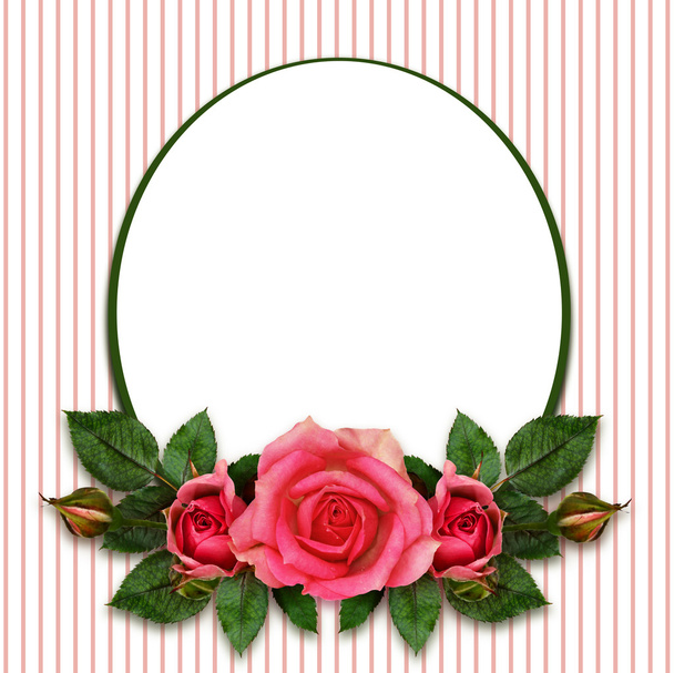 	Rose flowers composition and oval frame - Foto, Imagem