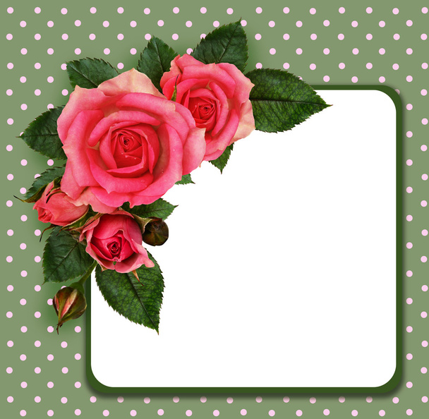	Rose flowers composition and frame - Фото, изображение