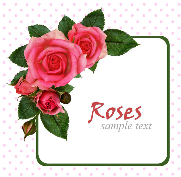 	Rose flowers composition - Фото, изображение