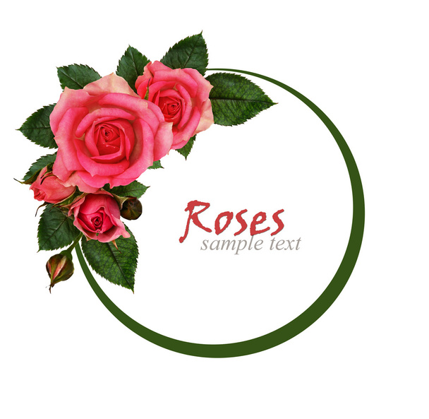 	Rose flowers composition and frame - Foto, imagen