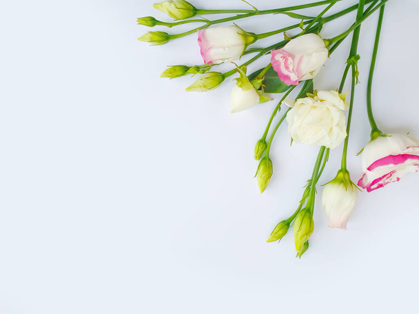 ευστό λουλούδι σε ένα χρωματιστό άνθος υποβάθρου - Φωτογραφία, εικόνα
