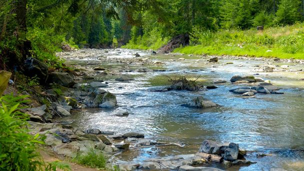 Hermosa vista sobre el tranquilo arroyo de agua o el río que fluye a través del bosque de pinos de montaña en verano - Foto, Imagen