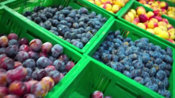 diferentes frutas jugosas y maduras en contenedores en el supermercado  - Imágenes, Vídeo