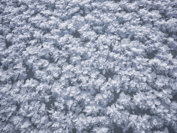 vorstgrond in koude winter - Foto, afbeelding