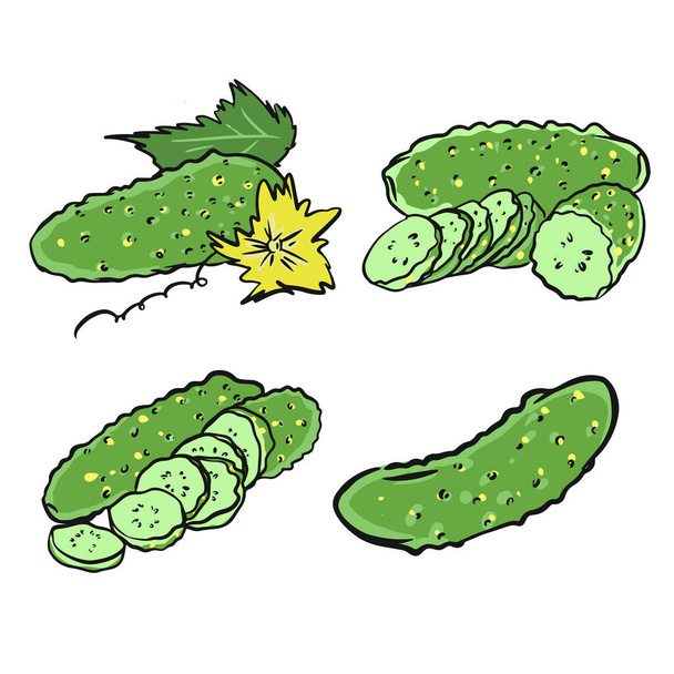 Illustratie van komkommers met bladeren en een bloem in vector op witte achtergrond. Handgetekende komkommer pictogram logo voor voedsel verpakking ontwerp - Vector, afbeelding