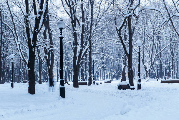 Winter im Stadtpark. Schneegassen - Foto, Bild